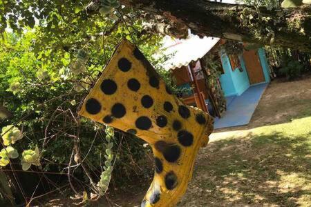 Casinha Azul De Penedo (Rio de Janeiro)